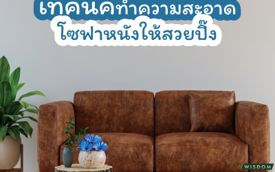 เทคนิคทำความสะอาดโซฟาหนังให้สวยปิ๊ง