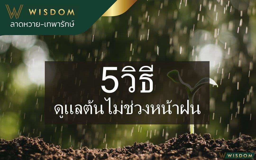 5วิธีดูแลต้นไม้ช่วงหน้าฝน