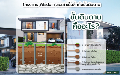 ชั้นดินดานคืออะไร