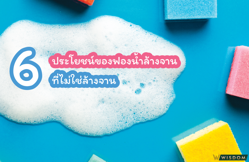 6ประโยชน์ของฟองน้ำล้างจานที่ไม่ใช่แค่ล้างจาน