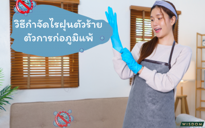 วิธีกำจัดไรฝุ่นตัวร้าย ตัวการก่อภูมิแ