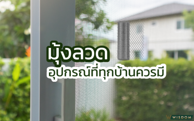 มุ้งลวด อุปกรณ์ที่ทุกบ้านควรมี
