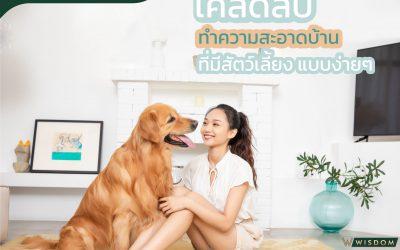 เคล็ดลับการทำความสะอาดบ้านที่มีสัตว์เลี้ยงแบบง่ายๆ